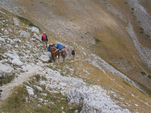 trekking con i muli-258.jpg